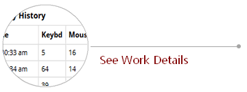 See work details, keyboard strokes, mouse clicks, and most active applications